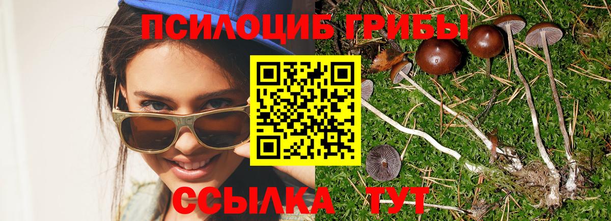 Псилоцибиновые грибы Psilocybine cubensis  Псилоцибиновые грибы Magic Shrooms  Новочебоксарск  Вход с VPN 