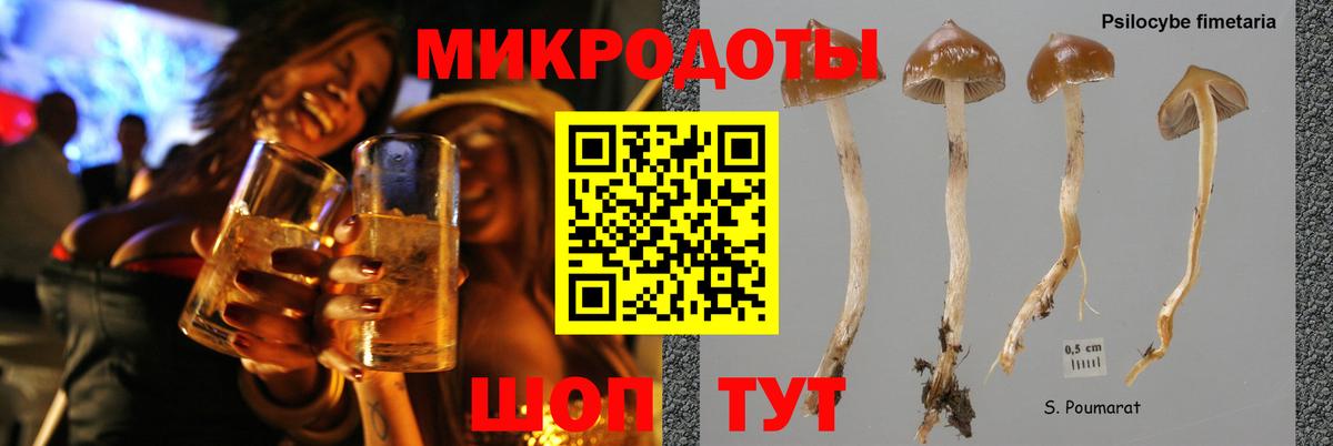 Галлюциногенные грибы ЛСД Новочебоксарск